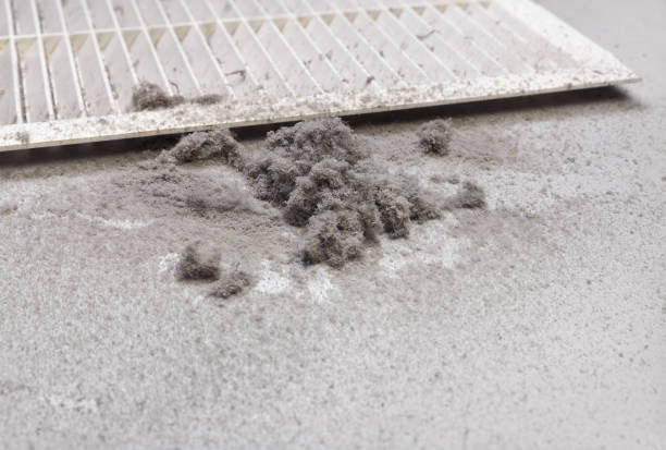 Best Air Quality Test  in Tainter Lake, WI